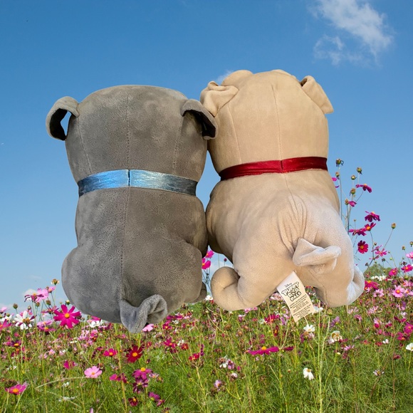 Disney Toys For Queenbeekygirl Puppy Dog Pals Stuffed Animal Bingo